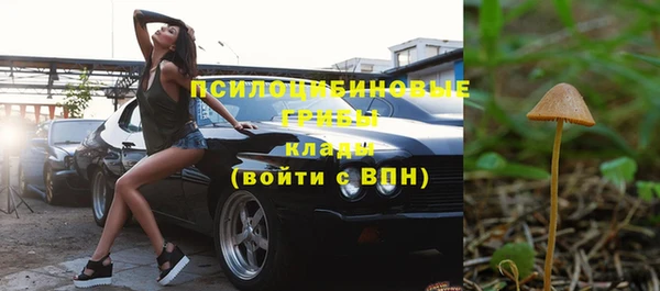 ПСИЛОЦИБИНОВЫЕ ГРИБЫ Беломорск