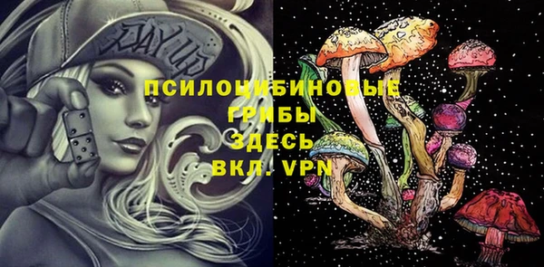 прущие грибы Белоозёрский
