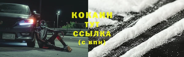 прущие грибы Белоозёрский