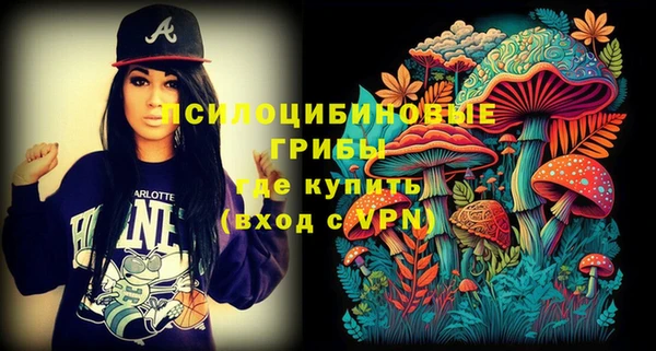 прущие грибы Белоозёрский