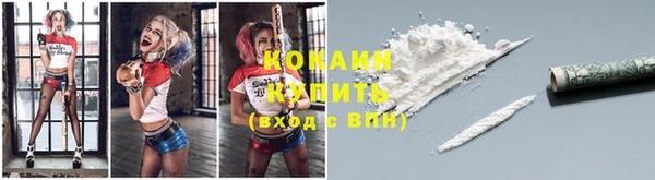 прущие грибы Белоозёрский