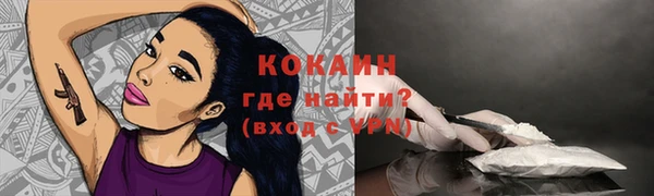 прущие грибы Белоозёрский