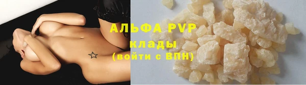 прущие грибы Белоозёрский
