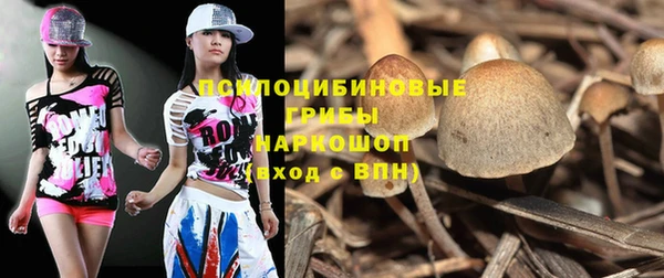 ПСИЛОЦИБИНОВЫЕ ГРИБЫ Беломорск