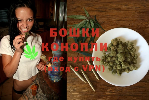 прущие грибы Белоозёрский